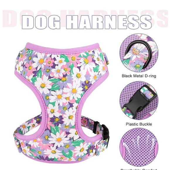 Beirui Cute Girl Dog Collars, Harnesses & Leash Set - Adjustable - Picture 4 of 7